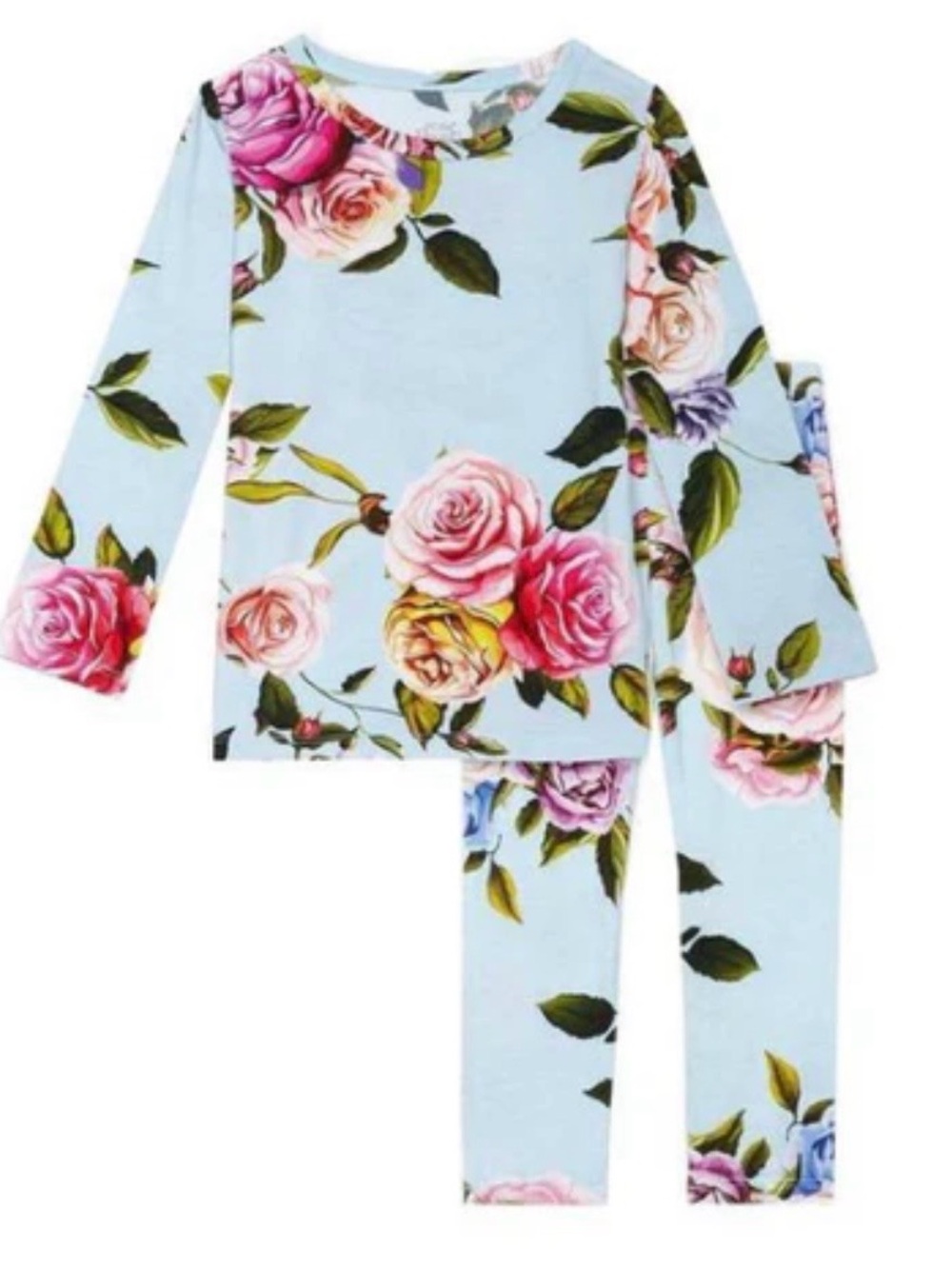 Kids Posh Peanut Vintage Rose Print 2 Piece Long Sleeves Pajamas Set Blue 3T-4T